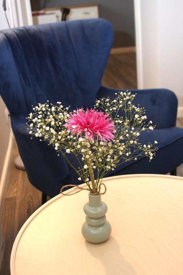 Apartament Przy Kladce เชชูฟ ภายนอก รูปภาพ